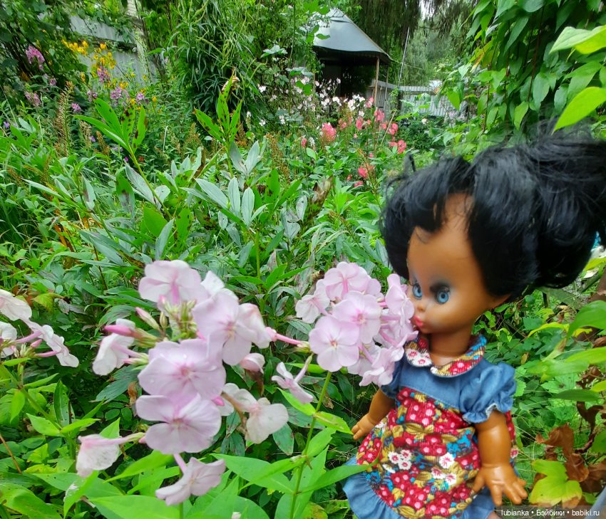 Пока ещё разноцветье🌺🌼🌸🏵🥀