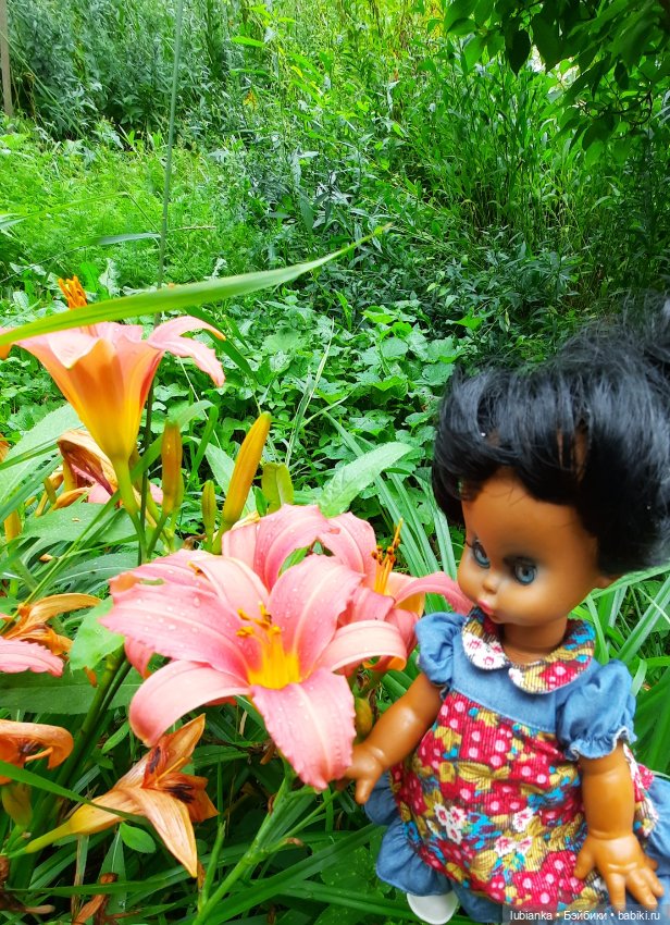 Пока ещё разноцветье🌺🌼🌸🏵🥀