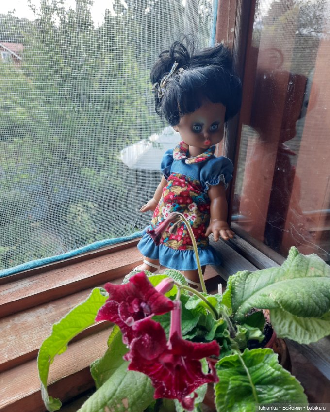 Пока ещё разноцветье🌺🌼🌸🏵🥀 (фото 2)