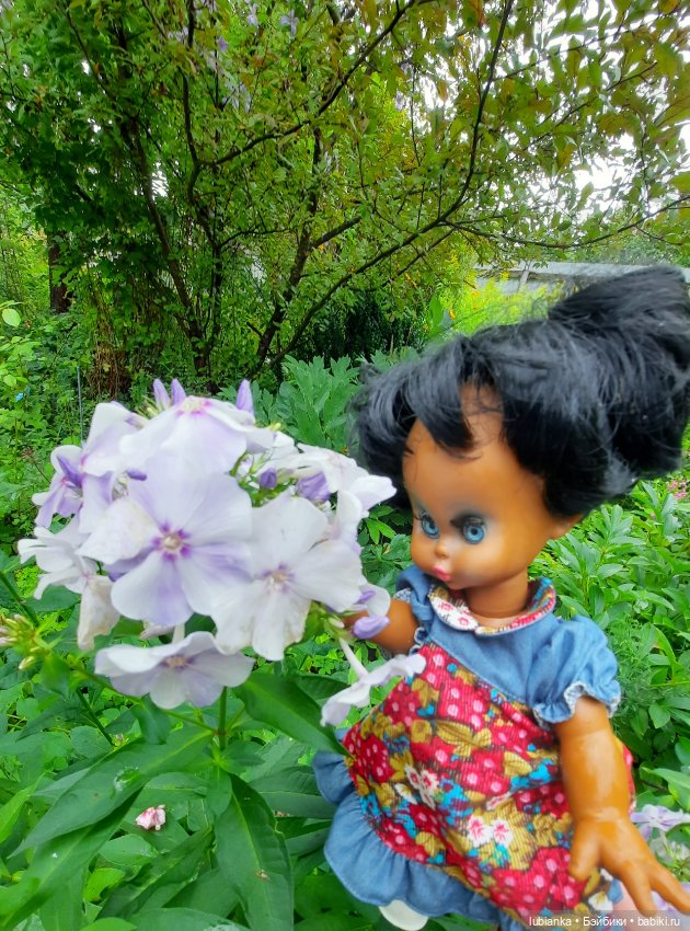 Пока ещё разноцветье🌺🌼🌸🏵🥀