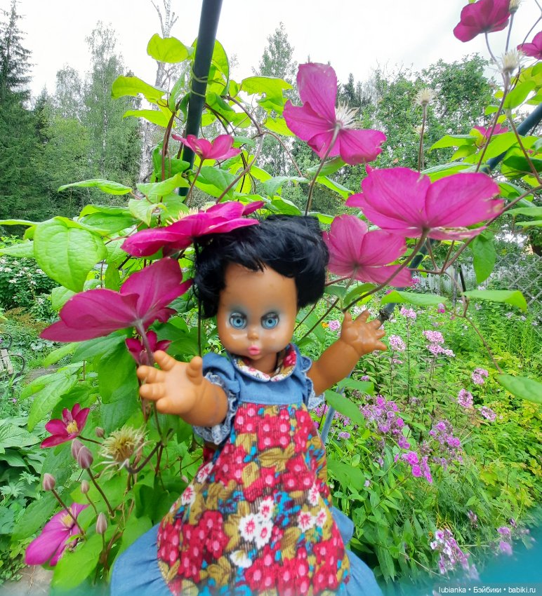 Пока ещё разноцветье🌺🌼🌸🏵🥀 (фото 8)