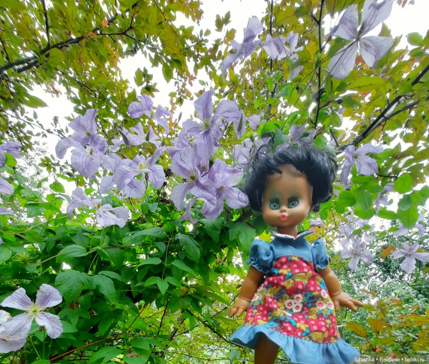 Пока ещё разноцветье🌺🌼🌸🏵🥀