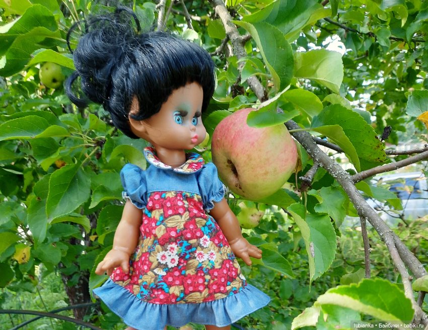 Пока ещё разноцветье🌺🌼🌸🏵🥀