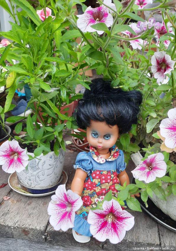 Пока ещё разноцветье🌺🌼🌸🏵🥀