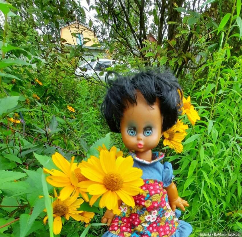 Пока ещё разноцветье🌺🌼🌸🏵🥀