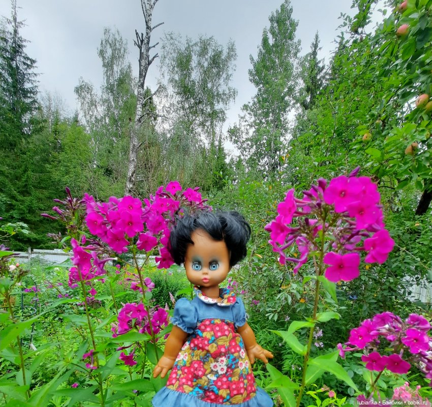 Пока ещё разноцветье🌺🌼🌸🏵🥀