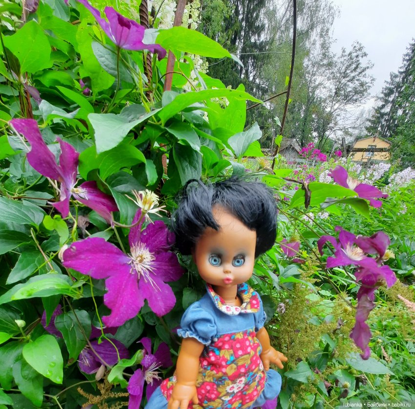 Пока ещё разноцветье🌺🌼🌸🏵🥀