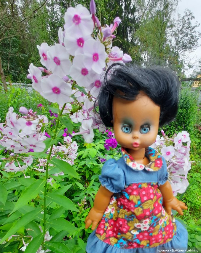 Пока ещё разноцветье🌺🌼🌸🏵🥀