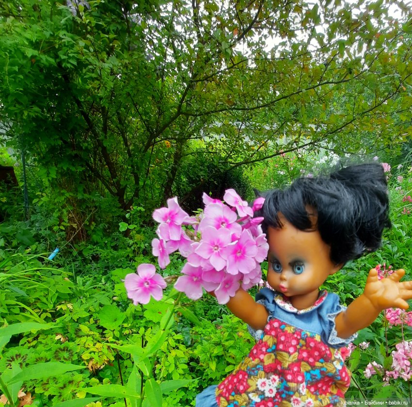 Пока ещё разноцветье🌺🌼🌸🏵🥀 (фото 10)