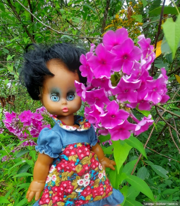 Пока ещё разноцветье🌺🌼🌸🏵🥀