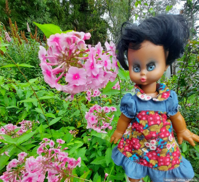 Пока ещё разноцветье🌺🌼🌸🏵🥀