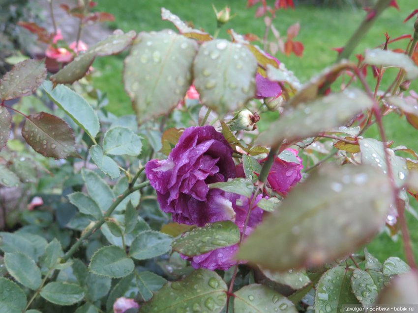 Невероятная Большая Барби от Laiko 1995 год (фото 4)