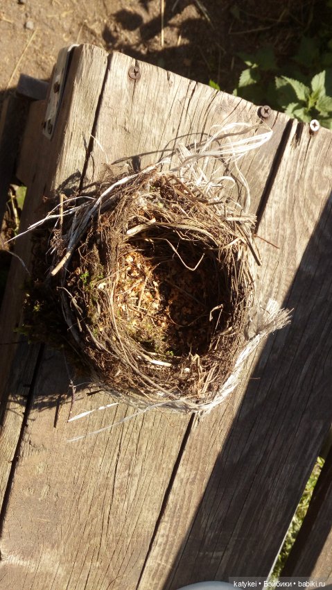 Дела на лето. День секретиков (фото 2)