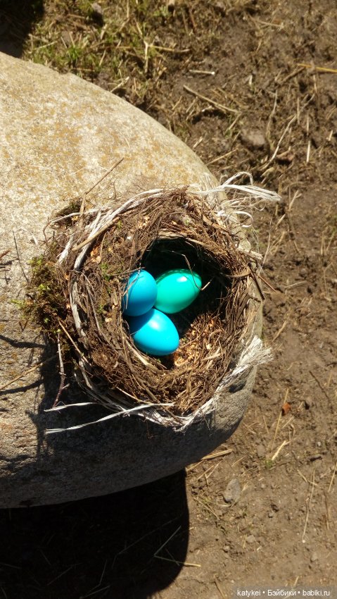 Дела на лето. День секретиков (фото 5)