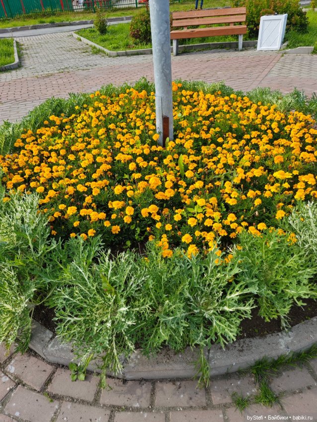 Прогуляемся? :) Мурманская область, город Кировск (фото 3)
