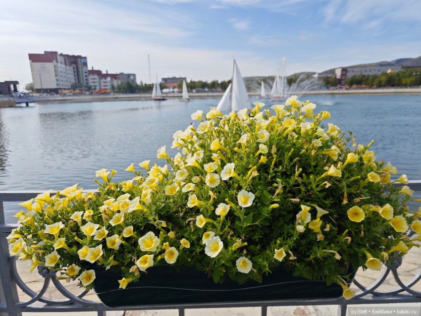 Прогуляемся? :) Мурманская область, город Кировск (фото 10)