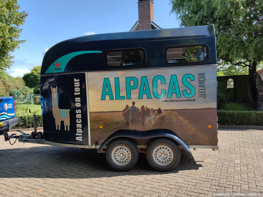 Музыкальная История 31 — Туризм и путешествия: фотоотчеты из поездок (фото 5)