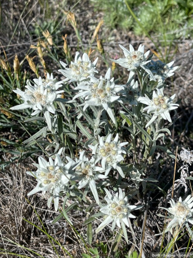 Небольшой отпуск на озере Байкал