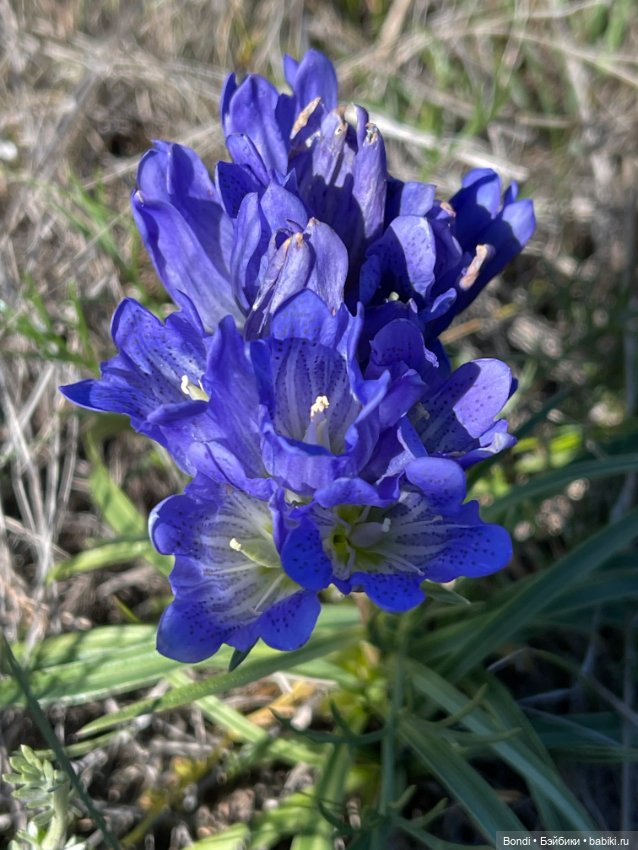Небольшой отпуск на озере Байкал