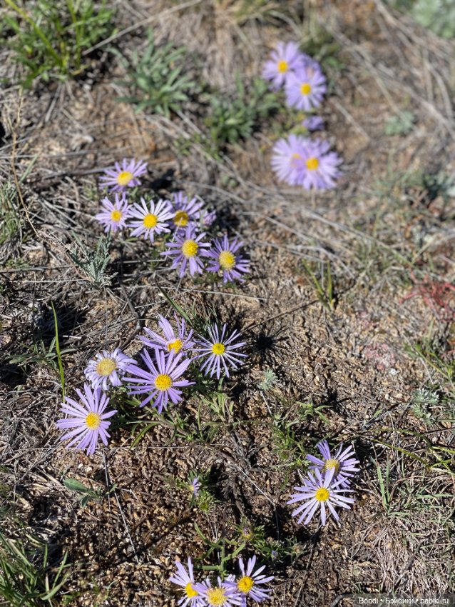 Небольшой отпуск на озере Байкал