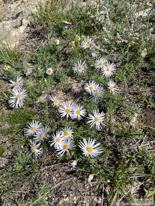 Небольшой отпуск на озере Байкал