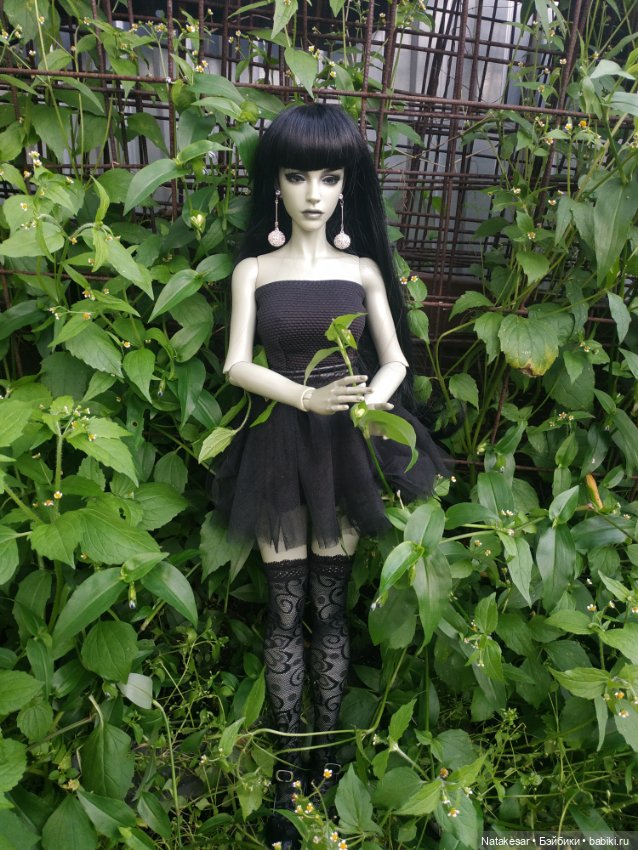 Несколько фото моей 60 см Раффины для Вас (фото 4)