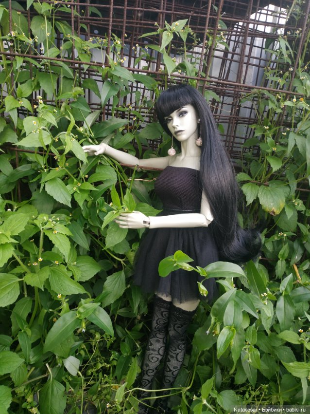 Несколько фото моей 60 см Раффины для Вас