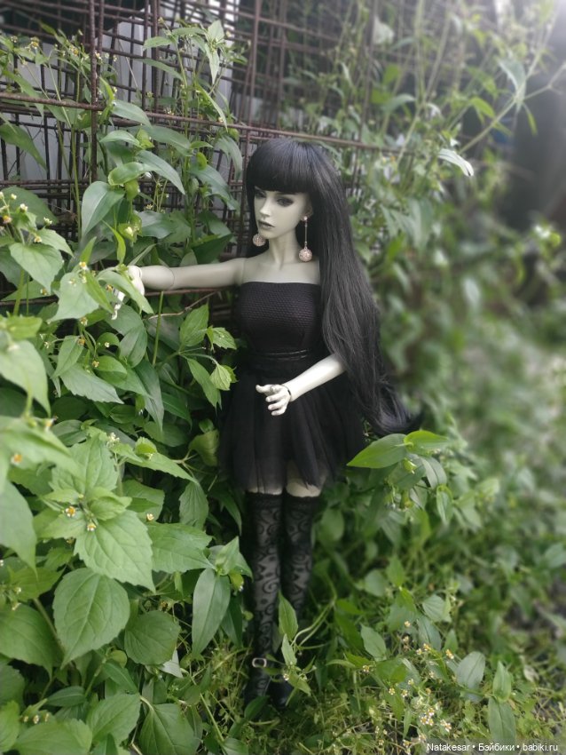 Несколько фото моей 60 см Раффины для Вас (фото 7)