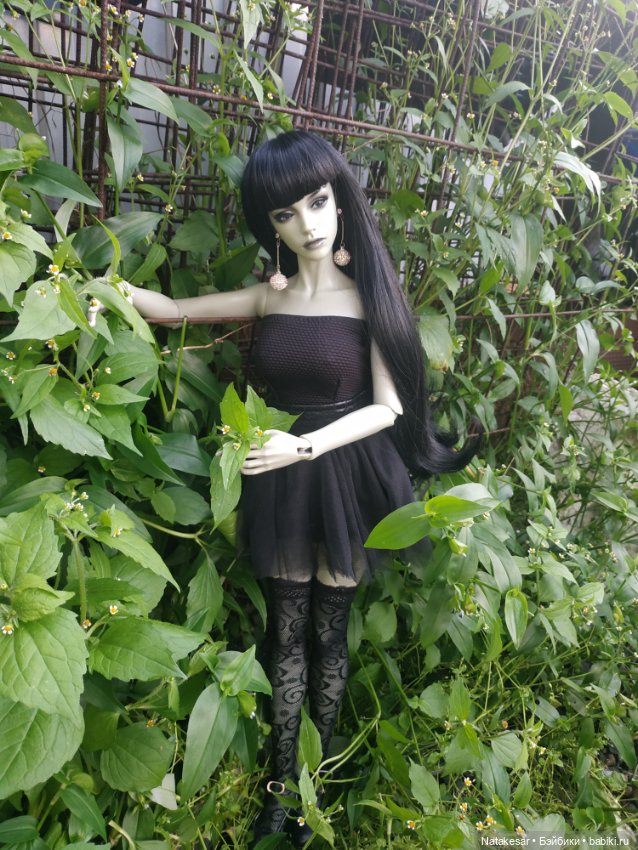 Несколько фото моей 60 см Раффины для Вас