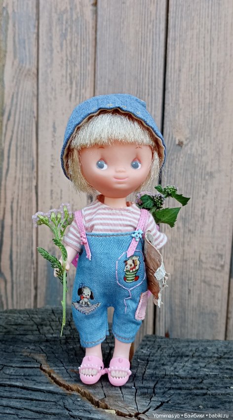 Кася-травница — Игровые куклы разных производителей (Разное): редкие бренды