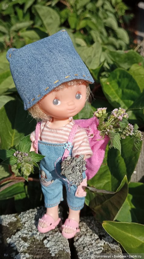 Кася-травница — Игровые куклы разных производителей (Разное): редкие бренды (фото 7)