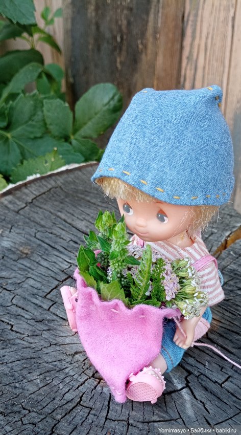 Кася-травница — Игровые куклы разных производителей (Разное): редкие бренды