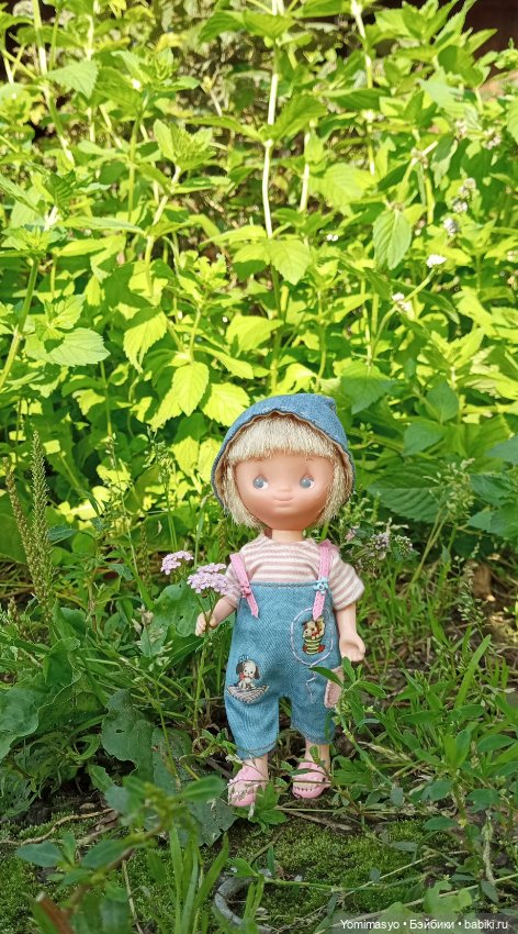 Кася-травница — Игровые куклы разных производителей (Разное): редкие бренды (фото 3)