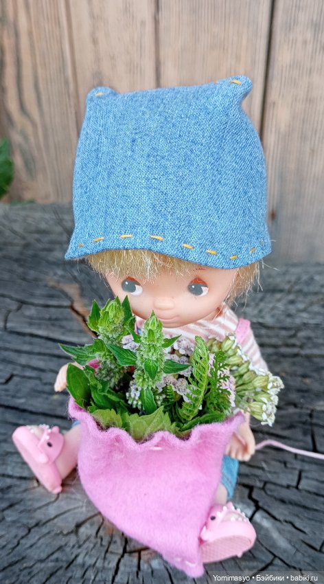Кася-травница — Игровые куклы разных производителей (Разное): редкие бренды