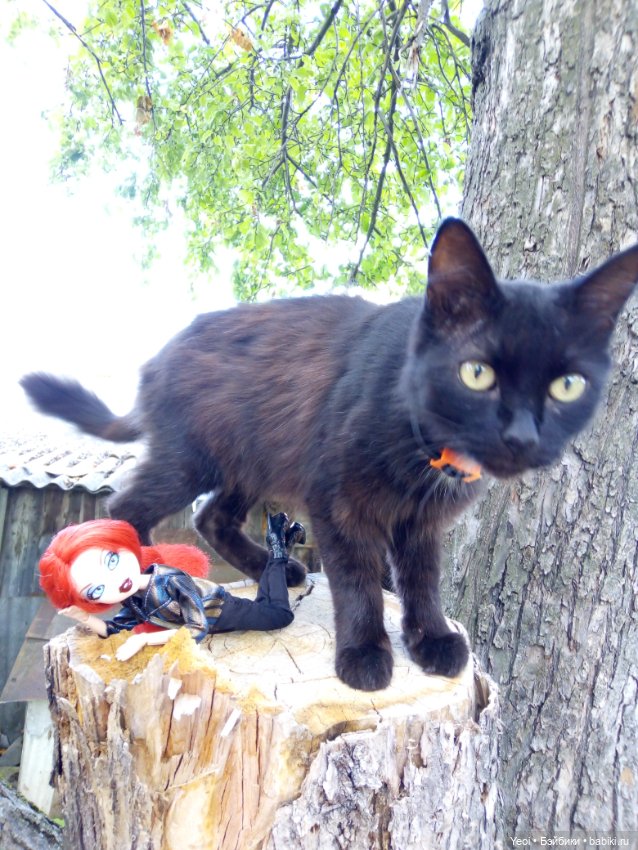 Кукла Bratzillaz - Мейгана Брумстикc, очаровательная ведьмочка от MGA (фото 10)