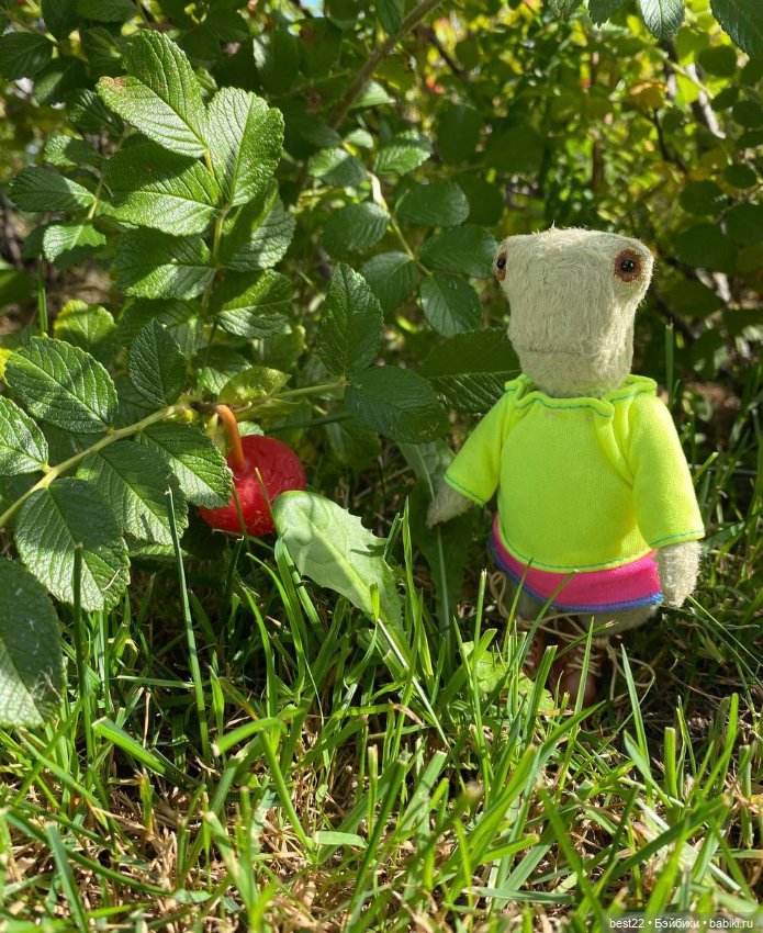 Лягушка Шурка — Авторские мишки Тедди и друзья: фото (фото 7)