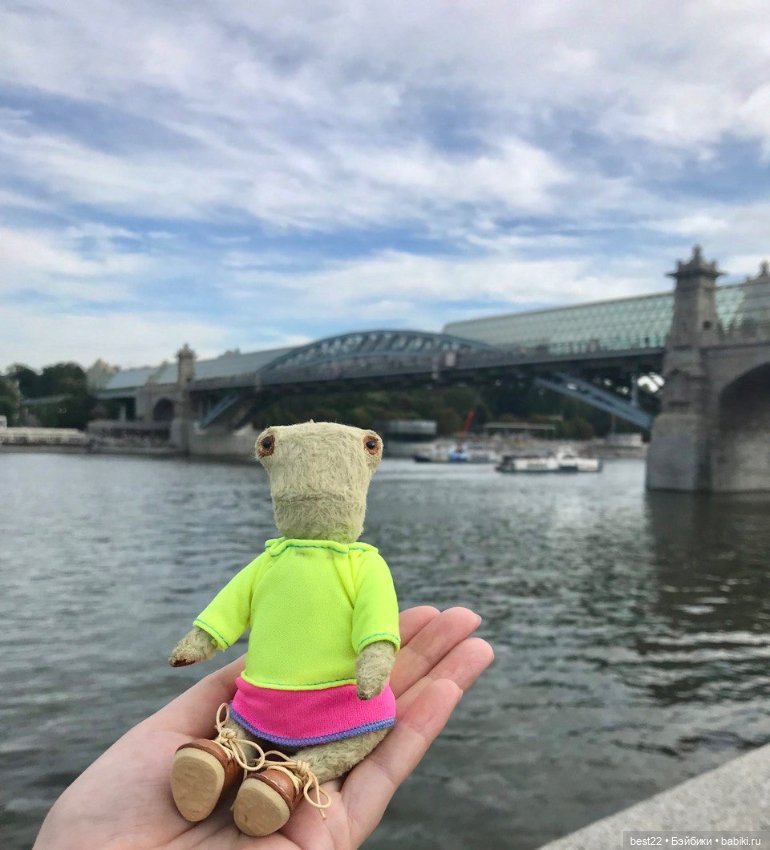 Лягушка Шурка — Авторские мишки Тедди и друзья: фото