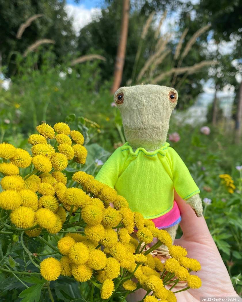 Лягушка Шурка — Авторские мишки Тедди и друзья: фото