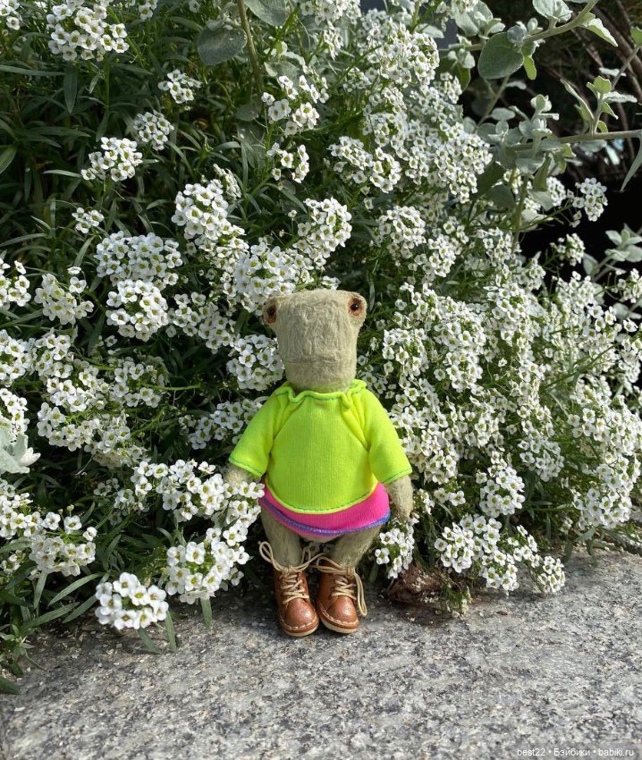 Лягушка Шурка — Авторские мишки Тедди и друзья: фото