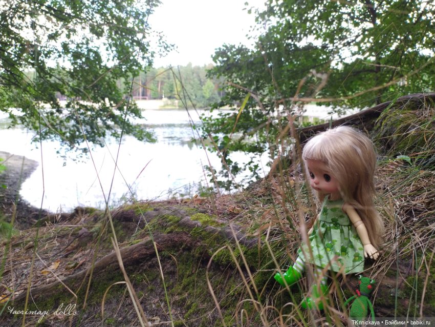 Последний квак уходящего лета (фото 10)