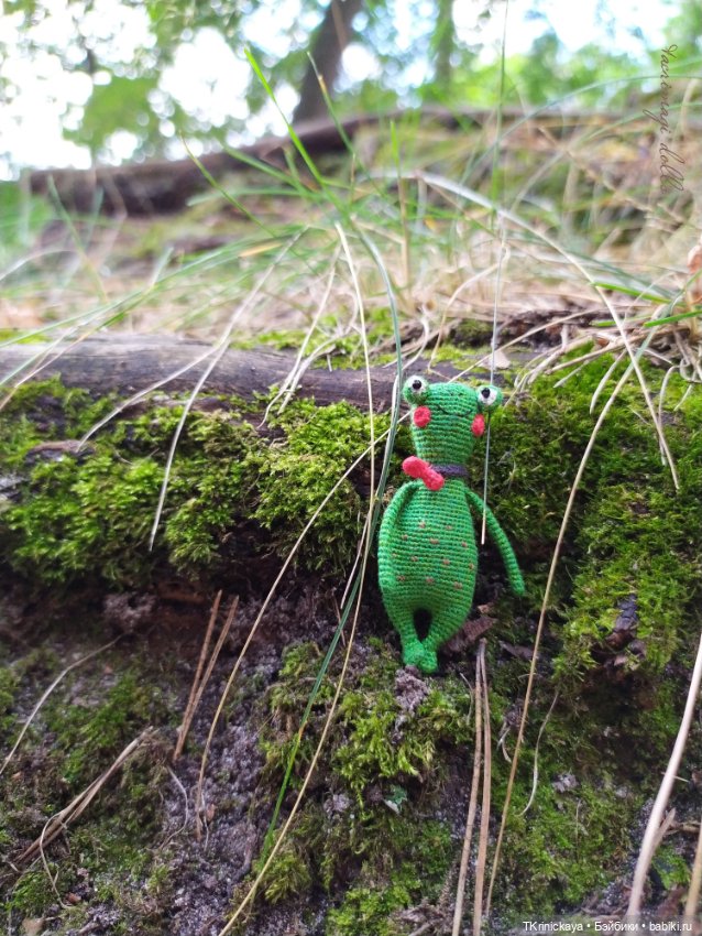 Последний квак уходящего лета