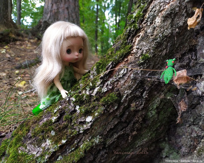 Последний квак уходящего лета