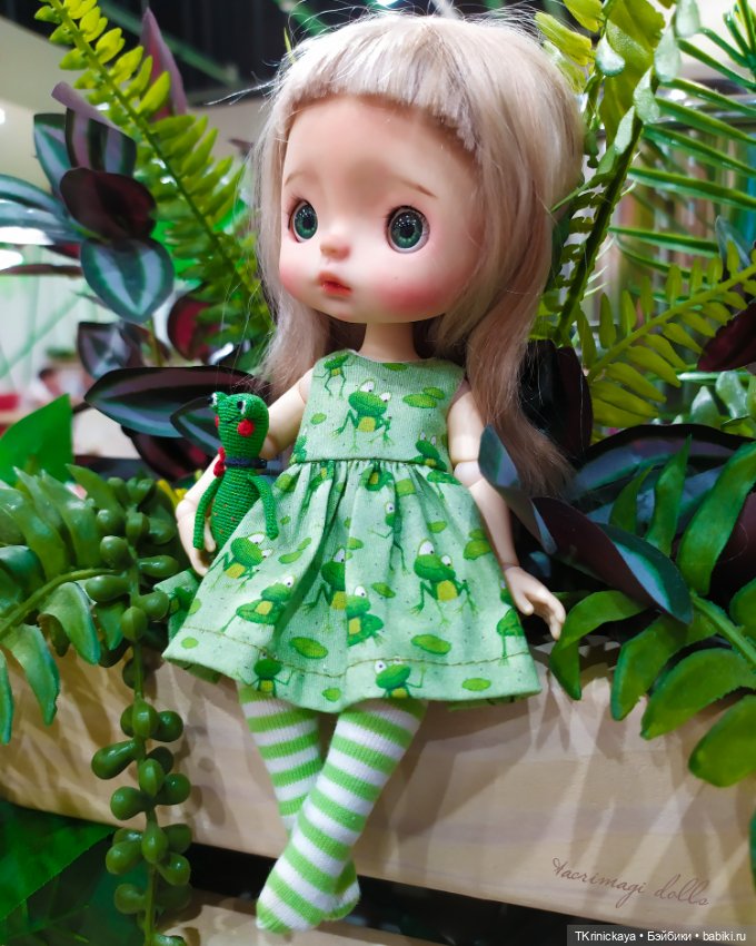 Последний квак уходящего лета