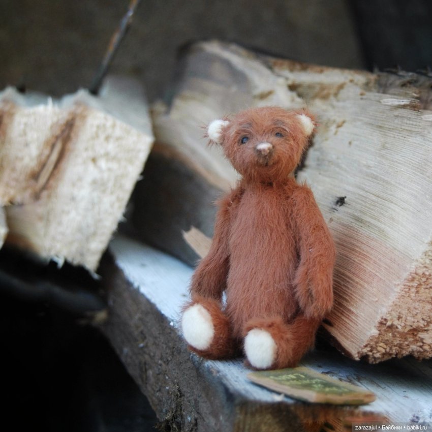 Предосенний мишка с книжкой и немножко сибирской красоты (фото 3)