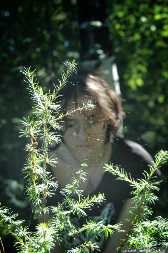 Предосенний мишка с книжкой и немножко сибирской красоты