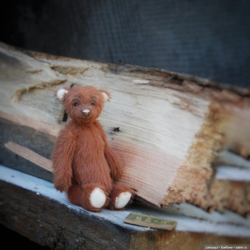 Предосенний мишка с книжкой и немножко сибирской красоты (фото 4)