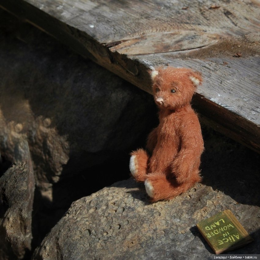 Предосенний мишка с книжкой и немножко сибирской красоты