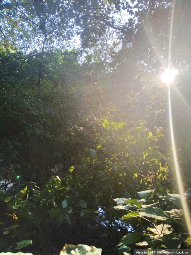 Уж небо осенью дышало🍂🍁🌾 — Разные шарнирные куклы (не БЖД): редкие