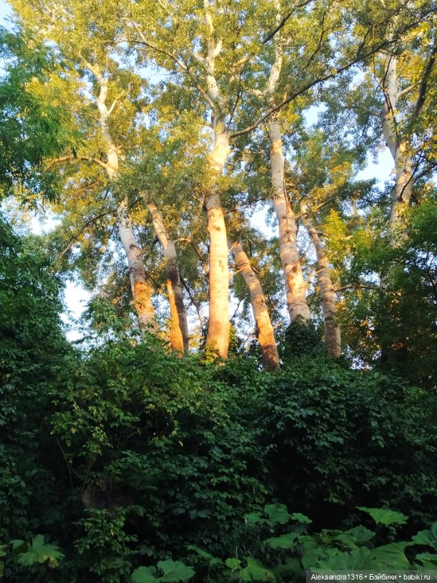 Уж небо осенью дышало🍂🍁🌾 — Разные шарнирные куклы (не БЖД): редкие