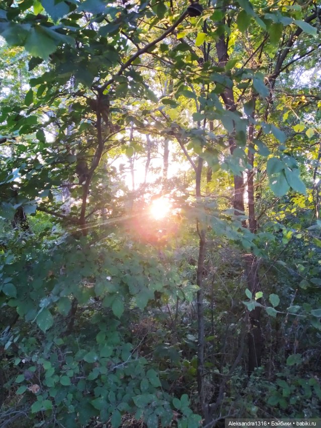 Уж небо осенью дышало🍂🍁🌾 — Разные шарнирные куклы (не БЖД): редкие